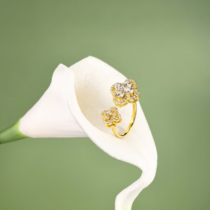 Exquisite Double Flower Diamond Gold Ring DY120981-S-G-WH (7)